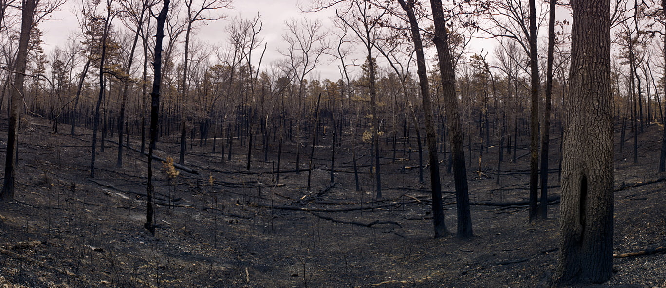 Pyjet e djegura