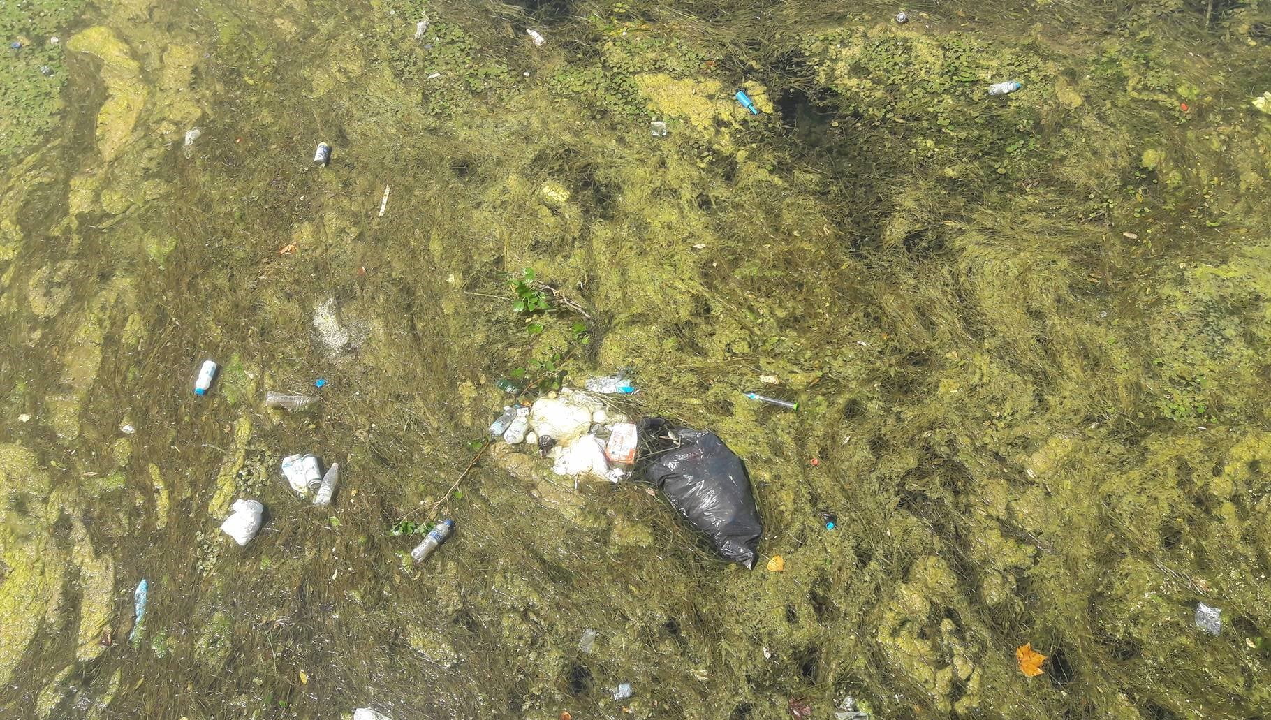 Ndotja në Liqenin e Shkodrës. Foto: Elvis Nabolli / Citizens Channel